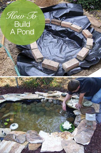 How to Build a Pond Easily, Cheaply and Beautifully | Ponds .