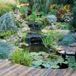 Water Garden Landscaping Ideas | Ponds backyard, Pond landscaping .