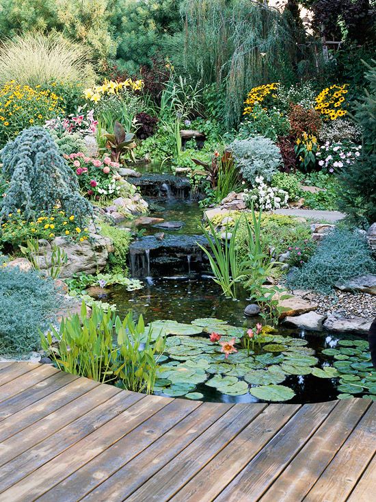 Water Garden Landscaping Ideas | Ponds backyard, Pond landscaping .