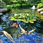 40 Philosophic Zen Garden Designs | Koi pond, Zen garden design .
