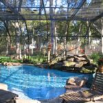 Potential pool design with full screen enclosure | Backyard pool .
