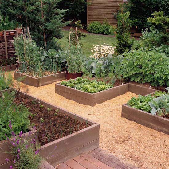 Grow a Vegetable Garden in Raised Beds | Building a raised garden .