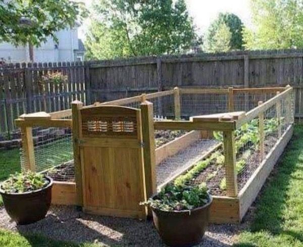 Raised and Enclosed Garden Bed | Garden layout, Backyard garden .