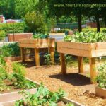 All About DIY Raised Bed Gardens – Part 1 | Raised garden, Garden .