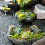 gravel beds | Rock garden landscaping, Plants, Succulent rock gard
