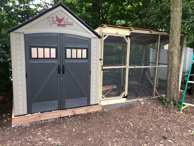 Rubbermaid Shed Coop Build and Run | BackYard Chickens - Learn How .