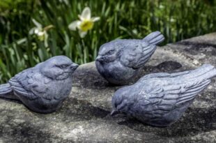 Trio d'Oiseaux (3 ps) | Stone garden statues, Campania .