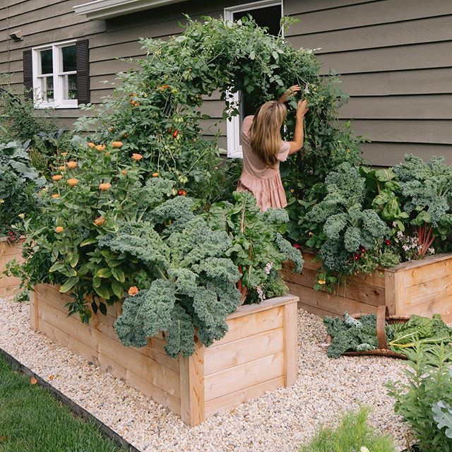 Raised Kitchen Garden Tour | Vegetable garden design, Backyard .