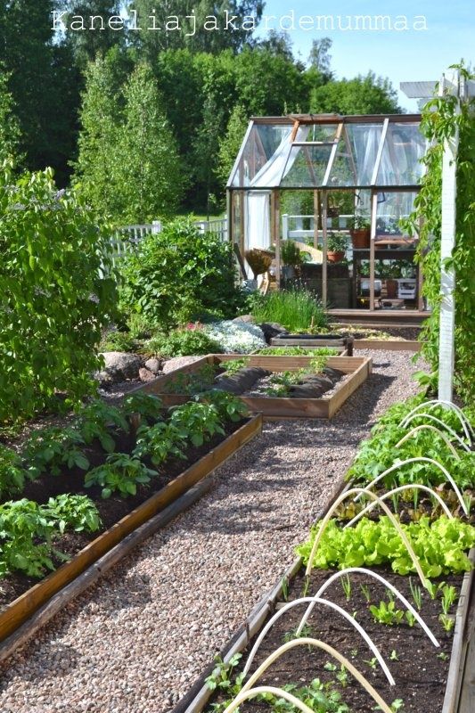 via Pin by o on A kitchen garden | Pinterest) | Vegetable garden .