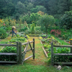 Take Me There! 13 of the Dreamiest Gardens We Found on Pinterest .