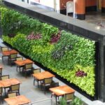 Green walls from Ambius | Vertical garden design, Vertical garden .
