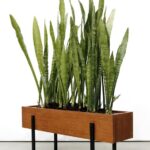 Cactus & Succulents | Diy wooden planters, House plants decor .