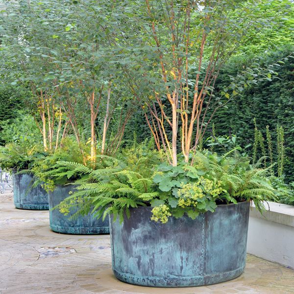 Inspiring And Timeless Large Garden Planters