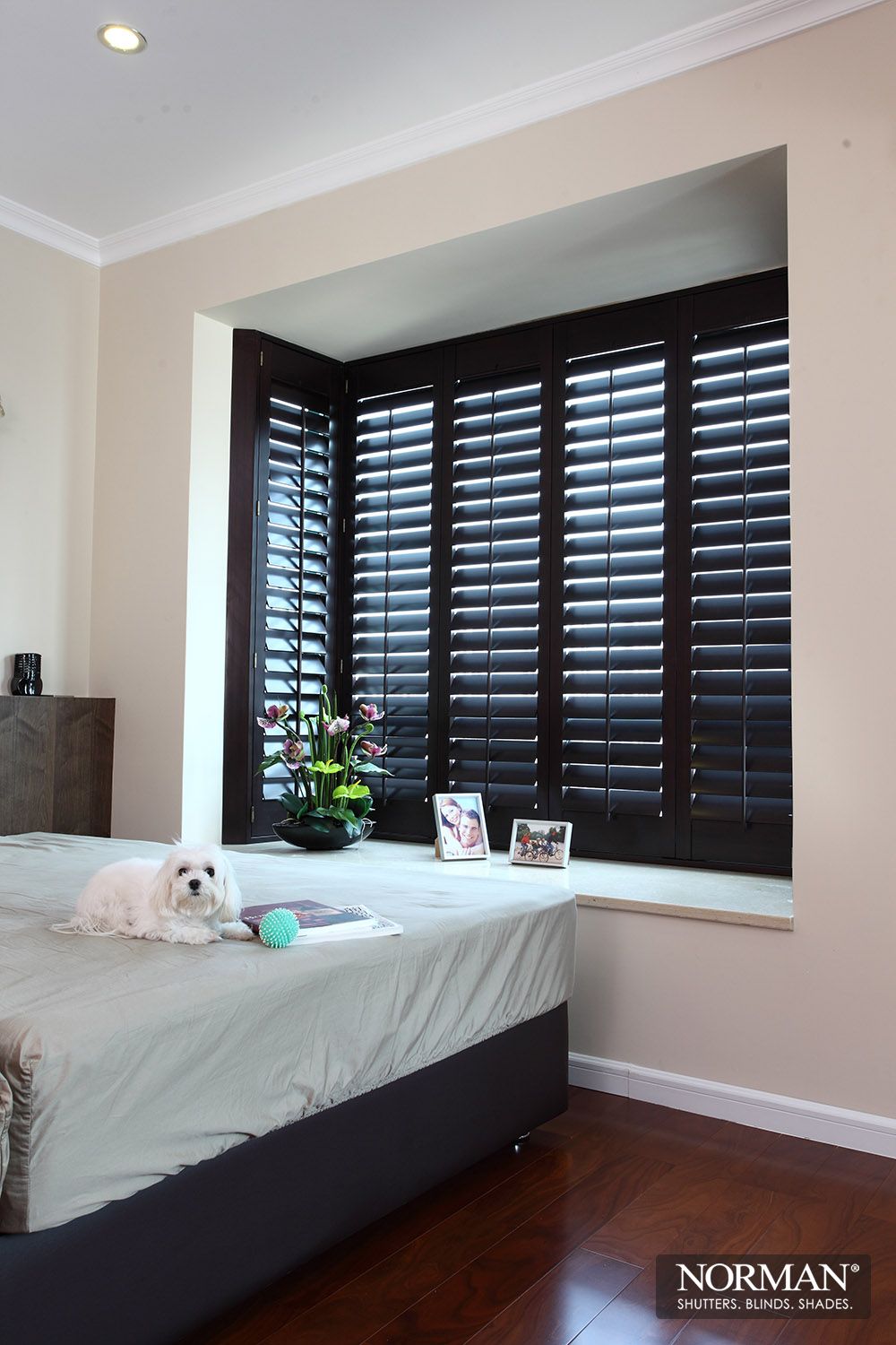 Charming And Beautiful Black Shutters