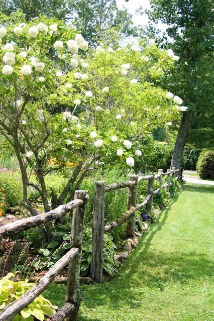 Trendy And Stylish Garden Fence