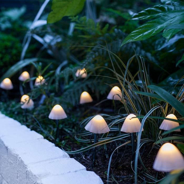 Eye-Catchy Garden Lights