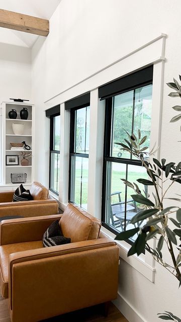 Smart And Cool Black Blinds