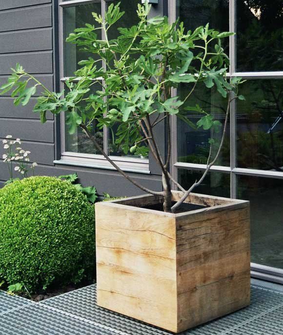 Beautiful And Sparkling Wooden Planter
  Boxes