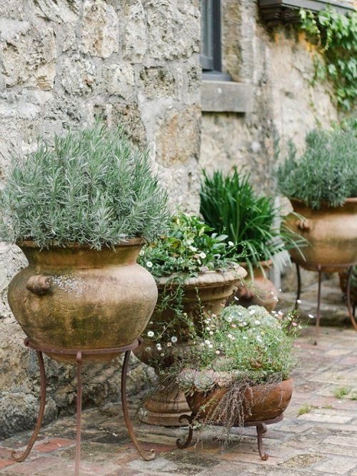 Trendy And Stylish Garden Pots