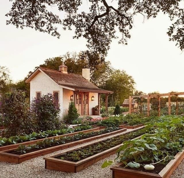 Stylish And Creative Garden Beds