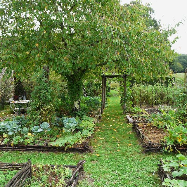 1698597369_Vegetable-Garden.jpg