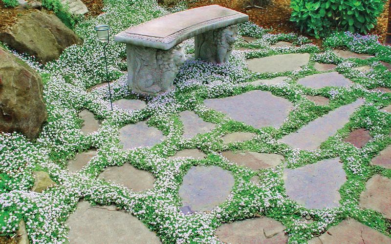 Pretty And Cool Garden Pavers