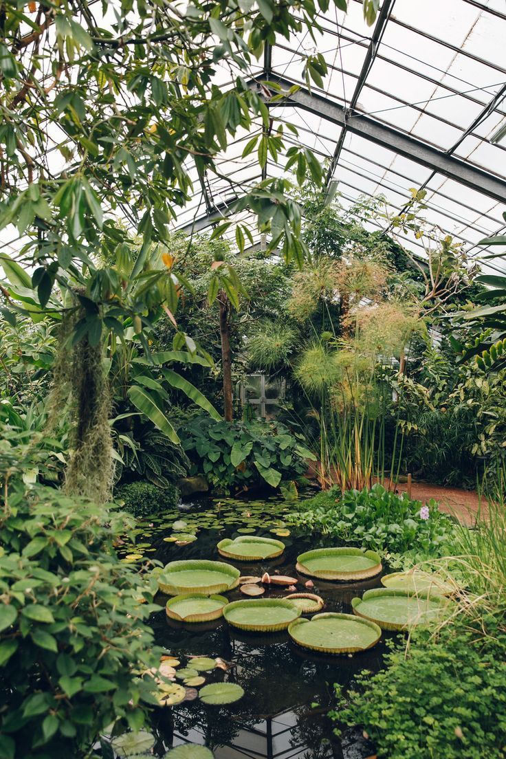 Smart And Cool Botanical Gardens