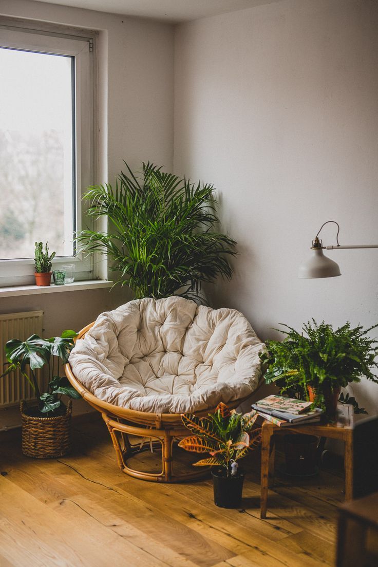 Beautiful And Cozy Home Gardening