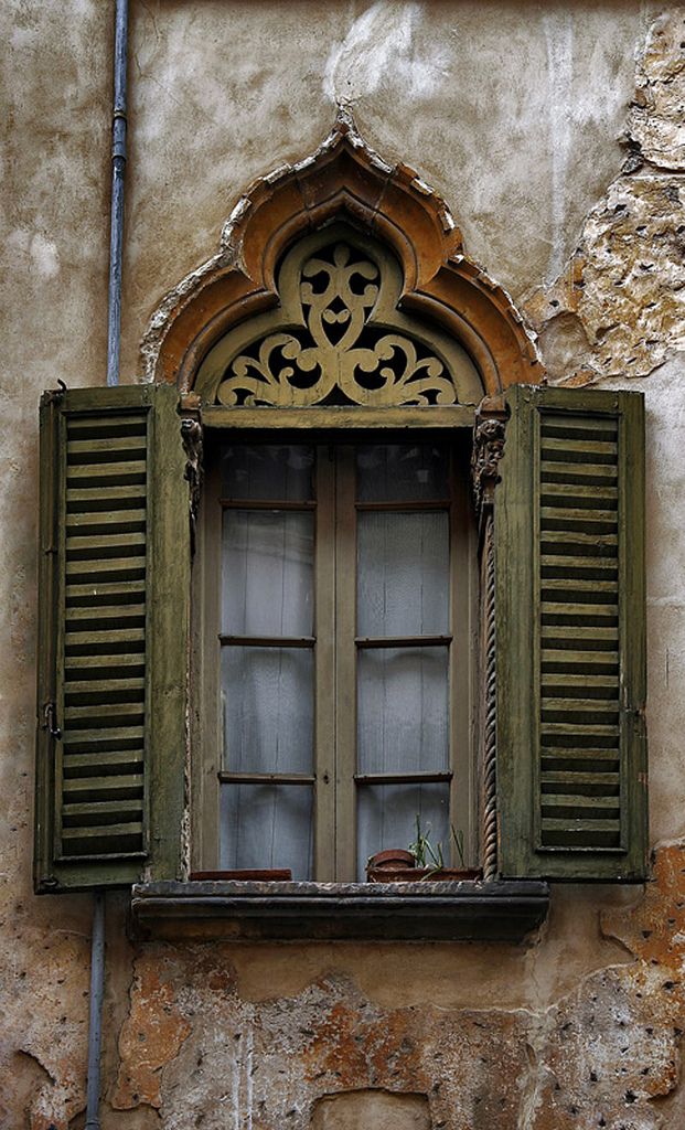 Pretty And Cool Window Shutter
